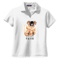 Ladies Dri Mesh ® V Neck Polo Thumbnail