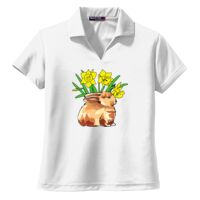 Ladies Dri Mesh ® V Neck Polo Thumbnail